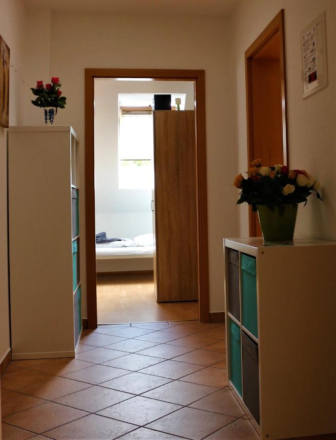 Zentral Gelegene Wohnung Nahe Schwanenteich Цвиккау Экстерьер фото