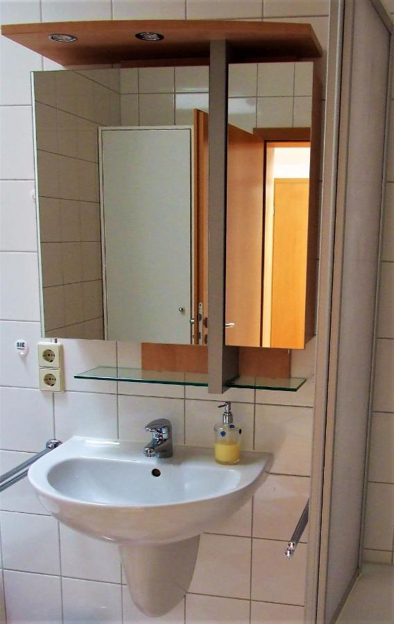 Zentral Gelegene Wohnung Nahe Schwanenteich Цвиккау Экстерьер фото