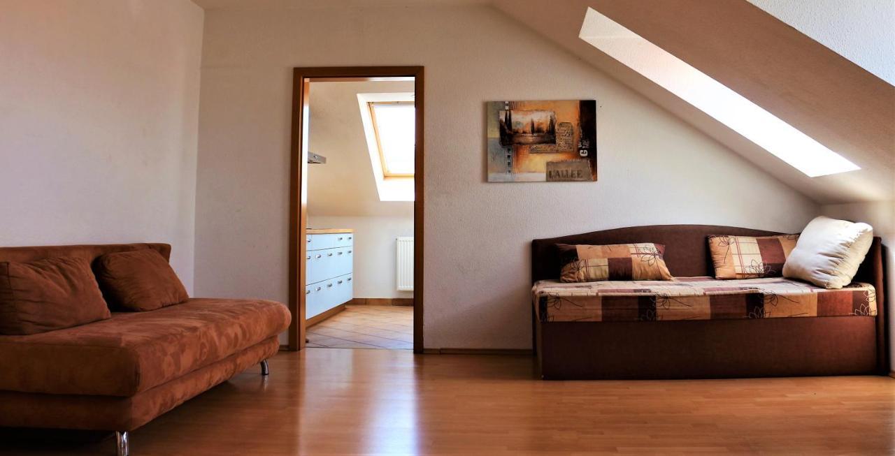 Zentral Gelegene Wohnung Nahe Schwanenteich Цвиккау Экстерьер фото