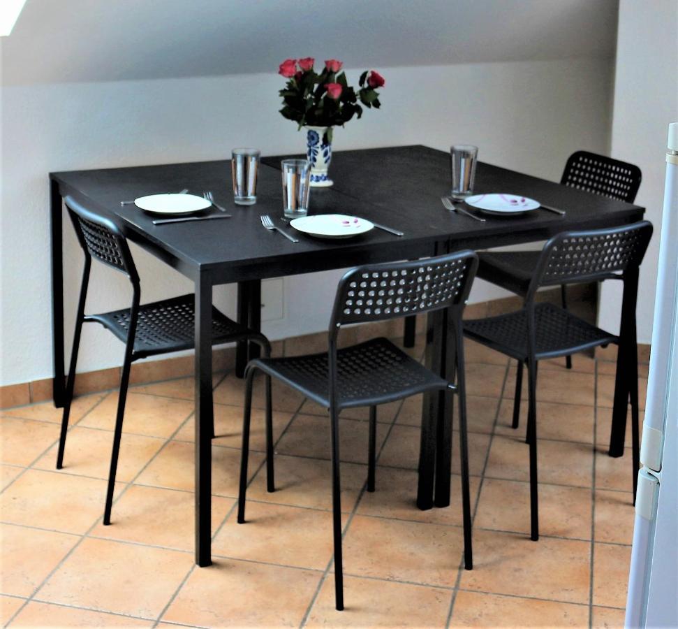 Zentral Gelegene Wohnung Nahe Schwanenteich Цвиккау Экстерьер фото